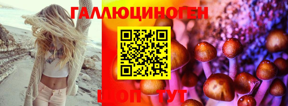 Псилоцибиновые грибы GOLDEN TEACHER Златоуст